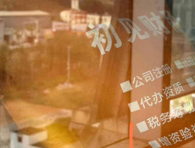 盘龙昆明代理记账公司选初见企服，精准申报不踩坑，助力企业稳发展